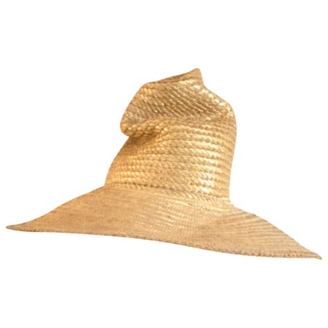 wicker DIOR Women Hats 